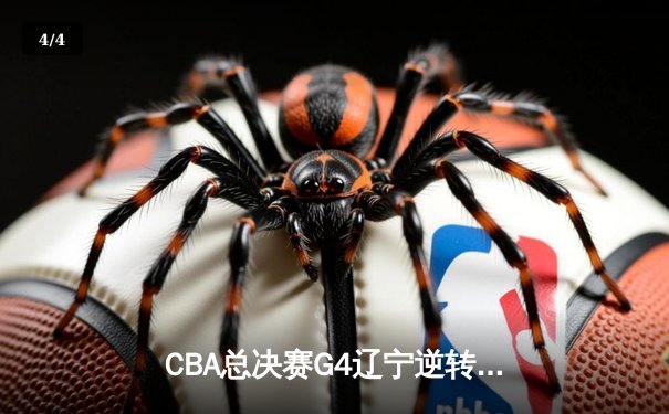 CBA总决赛G4辽宁逆转新疆夺三连冠 弗格34分赵继伟伤退 - 4